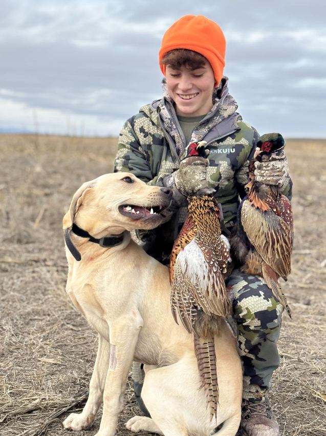 Young hunter with a yellow Labrador and two rooster pheasants at Rapid Rooster