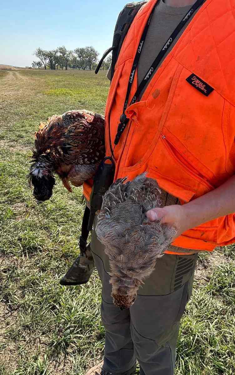 Hunter holding a rooster pheasant and a sharp-tailed grouse taken the same morning